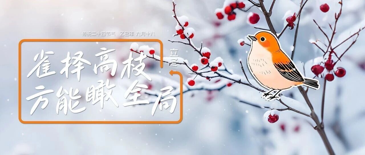 立冬|雀擇高枝，方能瞰全局